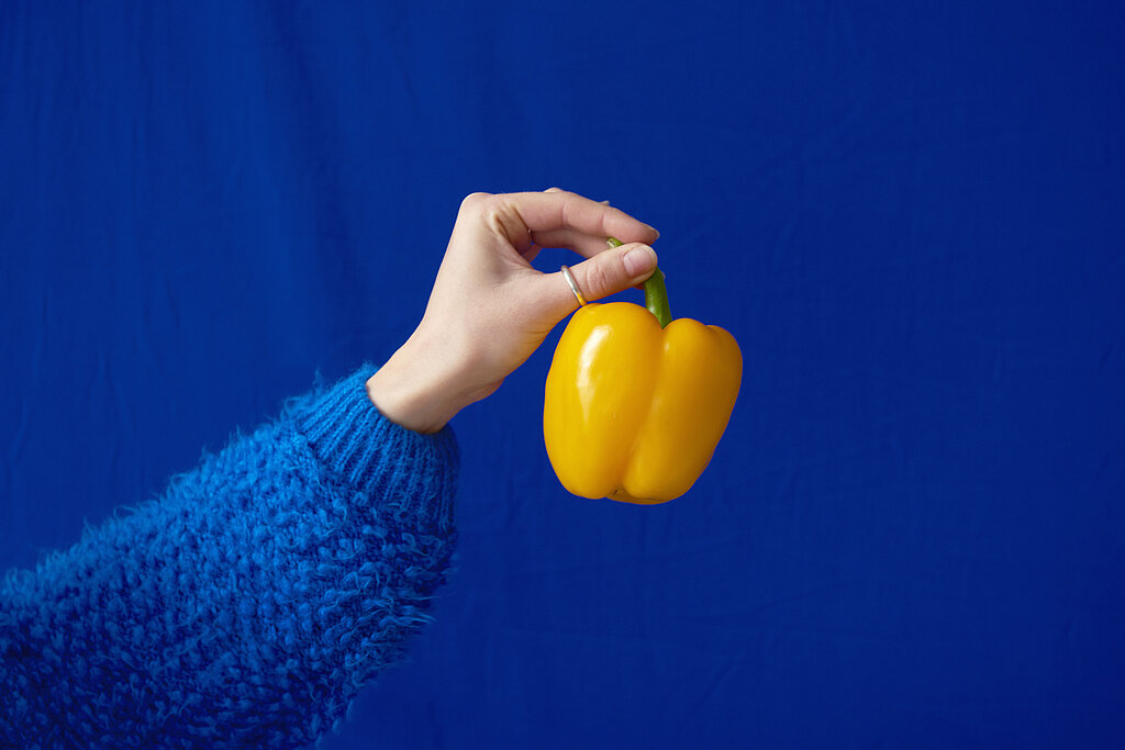 Eine Hand in blauem Pullover hält eine gelbe Paprika vor blauem Hintergrund.